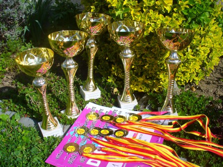 SÚŤAŽ O CENU MAŽORETIEK TAKTIK SOBOTIŠTE 2017